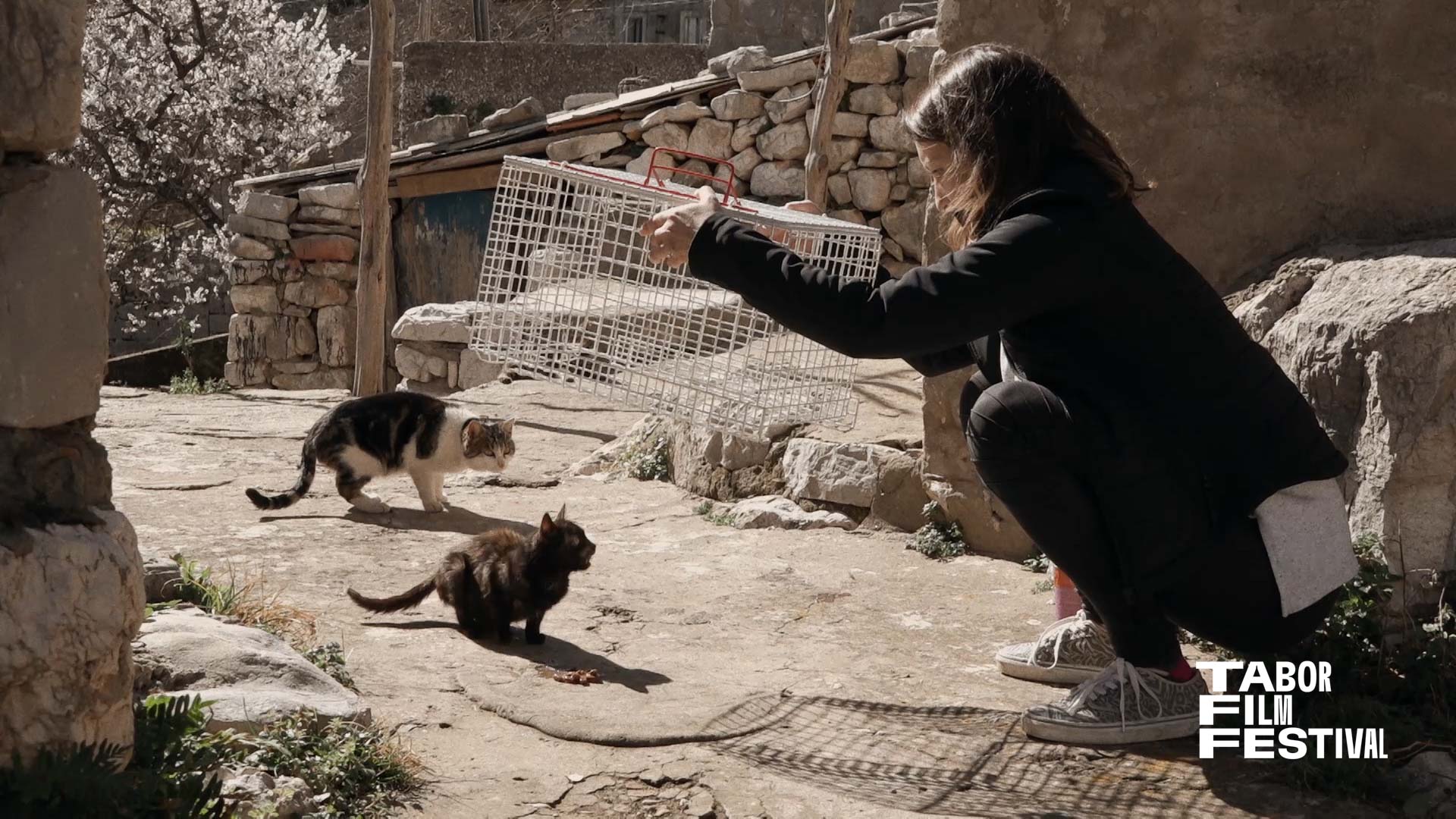 Woman crouching outdoors holding open a cage while two cats sit on stone ground nearby.